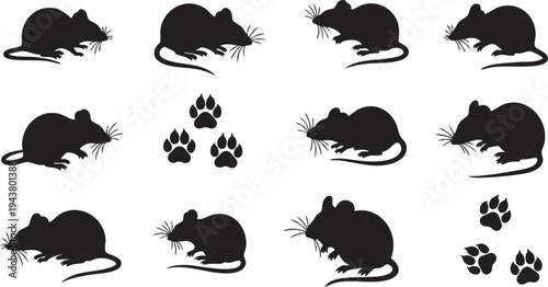 Black silhouettes of various mice and paw prints on white background mouse rodent rodents