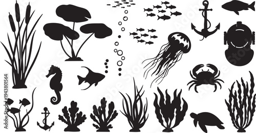 Black silhouettes of various sea creatures and aquatic plants on white background