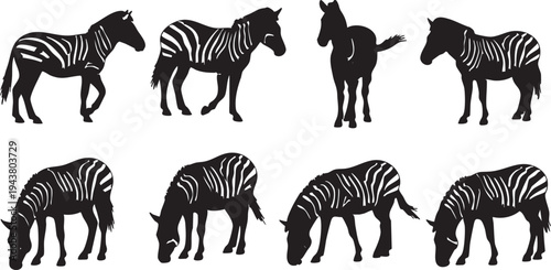 Eight black and white zebra silhouettes in various poses animals wildlife