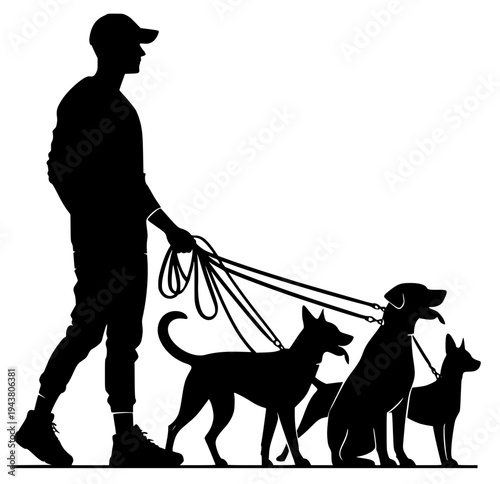 Dog walker silhouette vector illustration. Man walking with three dogs on leashes isolated on white background.