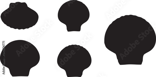 Five black scallop shell silhouettes on white background scallop shells shell shapes
