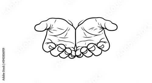 Open cupped hands gesture offering or receiving isolated on white background