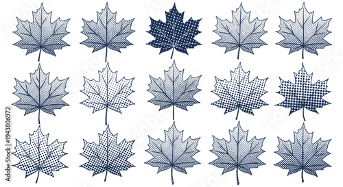 Collection of stylized maple leaf icons with intricate patterns in a cool blue hue