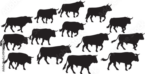 Silhouette of twelve walking bulls in various positions on white background silhouettes