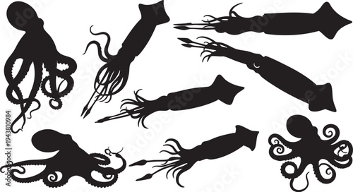 Silhouettes of eight cephalopods including octopuses and squids on white background black