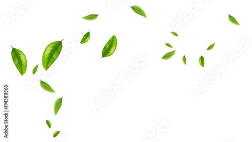 green leaf flying vector background