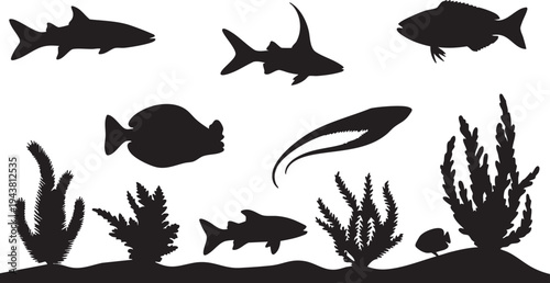 Silhouettes of various aquatic animals and plants on white background fish sharks seaweed