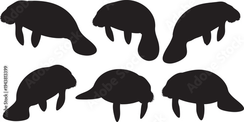 Six black manatee silhouettes on white background marine mammals