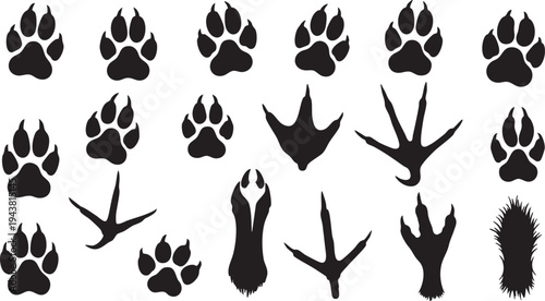 Various animal foot and paw silhouettes on white background animal tracks footprints paw prints