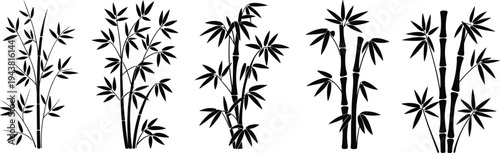 Bamboo plant silhouettes collection, oriental nature foliage vector illustration set isolated on white background for design
