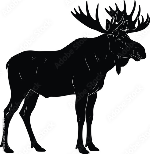 Black moose silhouette vector illustration of a wild elk with large antlers isolated on white background for hunting logo design