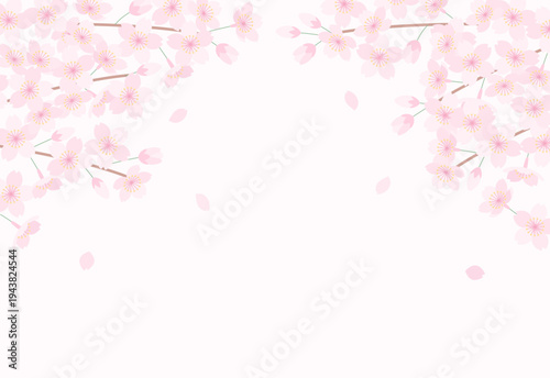 桜背景