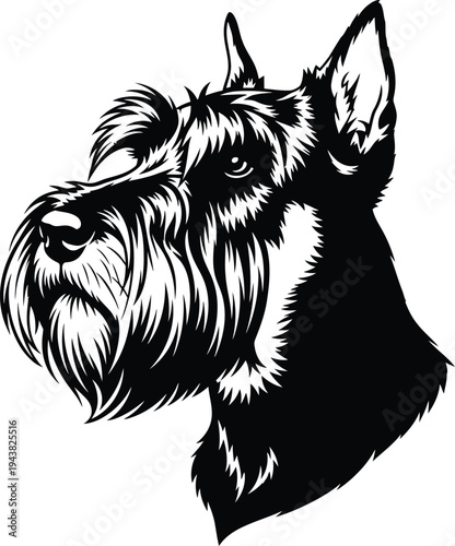 Schnauzer Dog Head Detailed Silhouette Vector Illustration