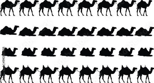 Black camel silhouette set, desert animal walking and sitting positions, dromedary and bactrian caravan collection, nomadic middle east livestock vector, isolated graphics.