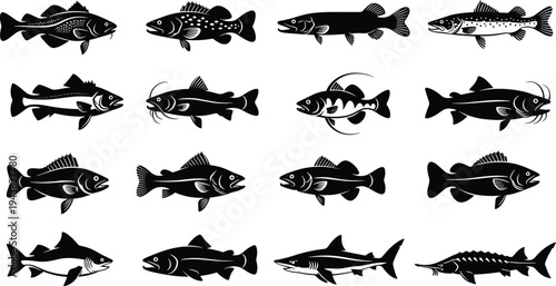 Freshwater fish silhouettes collection vector illustration, black and white different fishing species isolated on white wildlife nature background