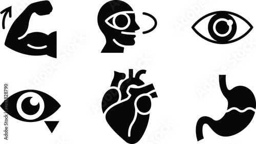 Human anatomy organ icons set, medical body parts including heart eye stomach muscle vector silhouette illustration