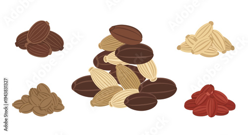 Assorted colorful seeds and grains arranged in small distinct piles