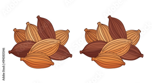 Illustration of two clusters of cardamom pods in warm tones