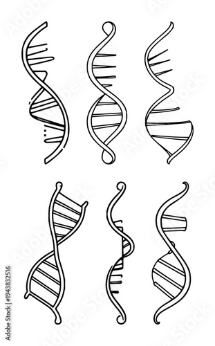 DNA double helix set with sleek modern lines on white background featuring vector, geometric, icon with biotechnology and illustration