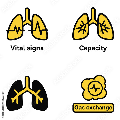 Vector art of four flat icons representing vital signs, capacity, gas exchange, and lungs