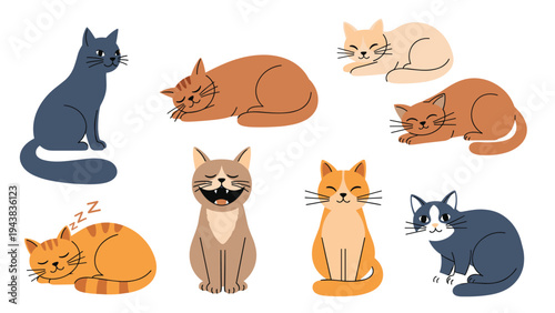 Collection of cute cats in different resting positions including sleeping, sitting, and yawning with various fur patterns and colors.