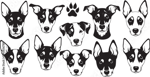 Set of 9 dog head icons vector