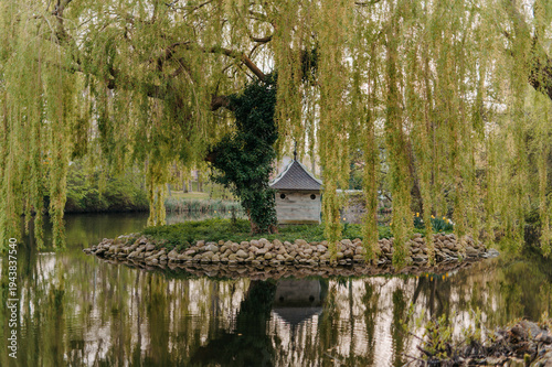 Φωτογραφία Willow tree and duck house on small island in park pond
