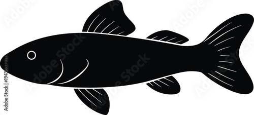 plecostomus pleco silhouette vector art illustration, black and white design