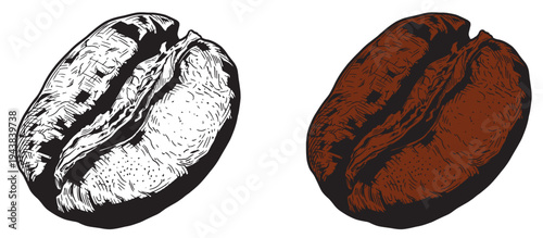 Coffee set graphic color isolated sketch illustration vector. Coffee beans in Hands. Art colorful design element