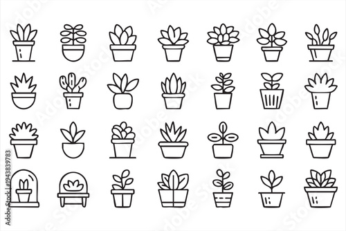 Houseplant And Botanical Vector Icons With Potted Plants Succulents And Home Decor Plants
