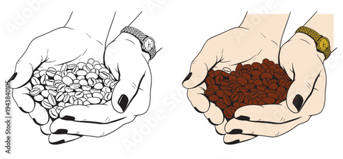 Coffee set graphic color isolated sketch illustration vector. Coffee beans in Hands. Art colorful design element