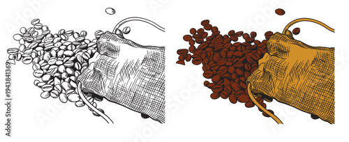 Coffee set graphic color isolated sketch illustration vector. Coffee beans in Hands. Art colorful design element