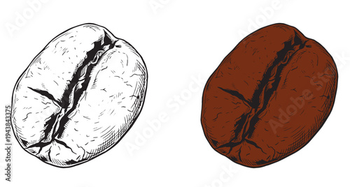 Coffee set graphic color isolated sketch illustration vector. Coffee beans in Hands. Art colorful design element