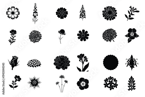 Collection of black flower and plant silhouettes