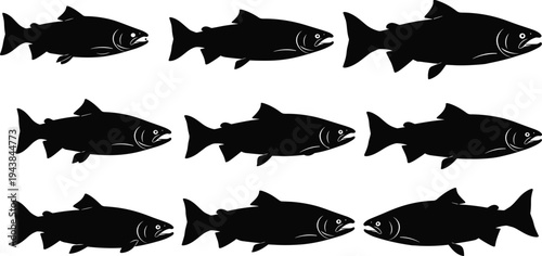 Black silhouette collection of salmon and trout fish in various sizes for fishing industry, seafood market, aquatic wildlife, and nature designs. (22 words)