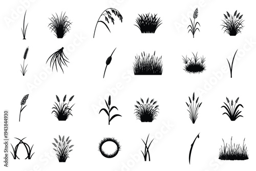 Black silhouettes of various grass, wheat, and botanical plants in a vector collection.