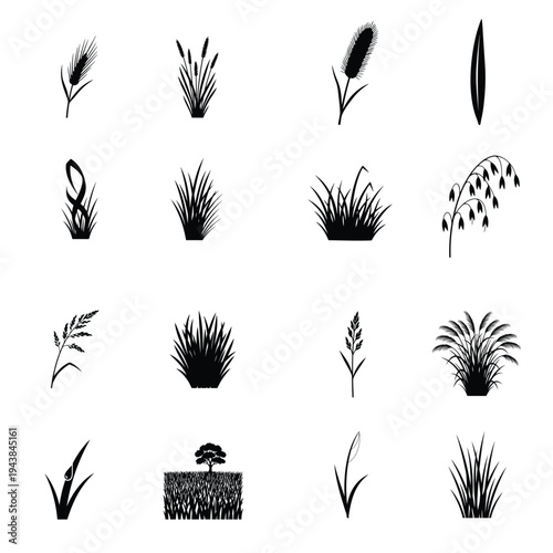 Black silhouettes of various grass, wheat, and cereal plants, ideal for nature, agriculture, and botanical design elements.