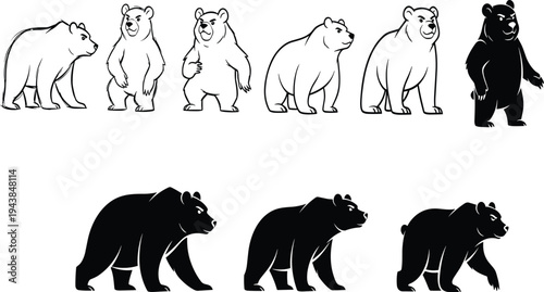 Comprehensive Collection of Bear Vector Illustrations and Silhouettes Featuring Grizzly and Brown Bears in Standing and Walking Poses Set Isolated