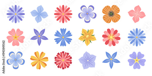 Set of cute simple wildflowers. Minimal retro vector illustration of spring delicate flowers isolated on white background. Flowers icons collection