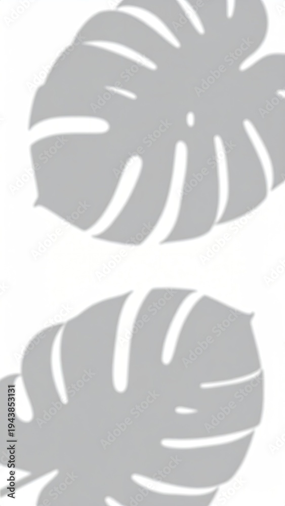 Obraz premium Gray-toned leaf shadows on a white backdrop, creating a simple, stark design