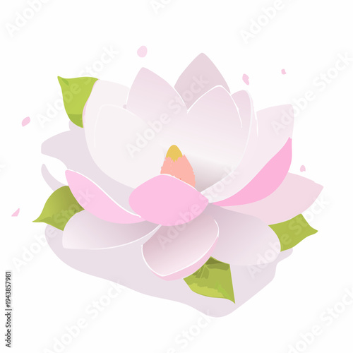 Pink magnolia flower with green leaves
