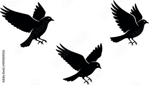 Three black silhouettes of birds in flight on a white background