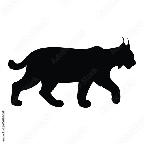 Lynx walking stealthily Vector, Silhouette, Illustration