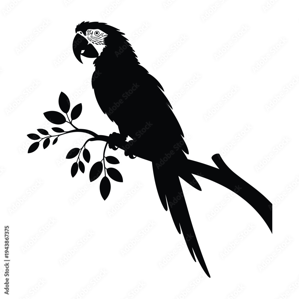 Fototapeta premium Macaw perched on branch side view Vector, Silhouette, Illustration