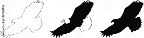 Flying eagle silhouette icons with spread wings for wildlife and freedom themes. Minimal outline and solid raptor bird shapes in soaring pose. Clean vector graphics for logos, emblems, tattoos, 