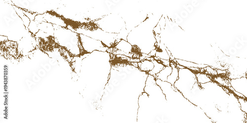 Brown ink splashes on white background abstract texture