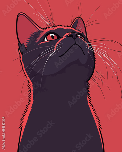 A black cat gazes upward against a red background. Its eyes are wide, and whiskers stand out clearly.