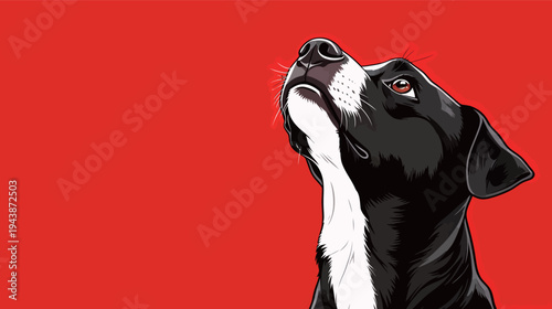 A black dog looks up with focus against a bright red background. It is a clear day and the dog seems alert and curious.