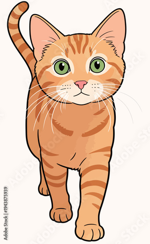 An orange cat is walking directly towards the viewer. It has green eyes and striped fur. The cat appears playful and curious.