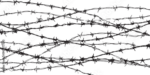 Tangled black barbed wire strands on white background